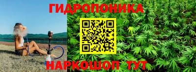 ALPHA PVP Канаш