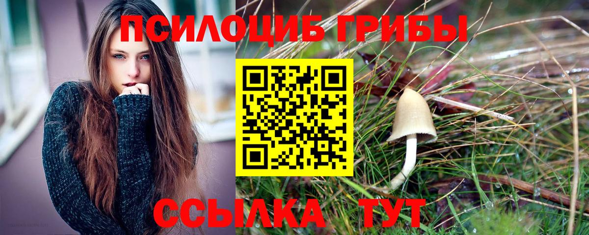 Псилоцибиновые грибы мухоморы  Галлюциногенные грибы GOLDEN TEACHER  Вход с VPN  Курчалой 