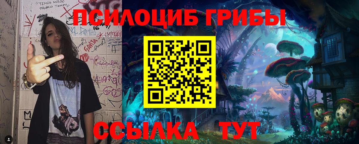 Псилоцибиновые грибы GOLDEN TEACHER Курчалой